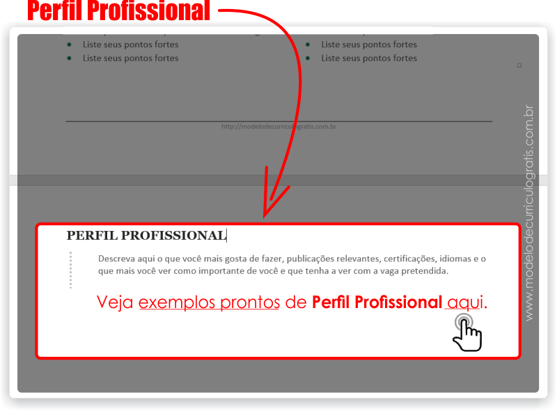 Como Fazer um Currículo - Perfil Profissional