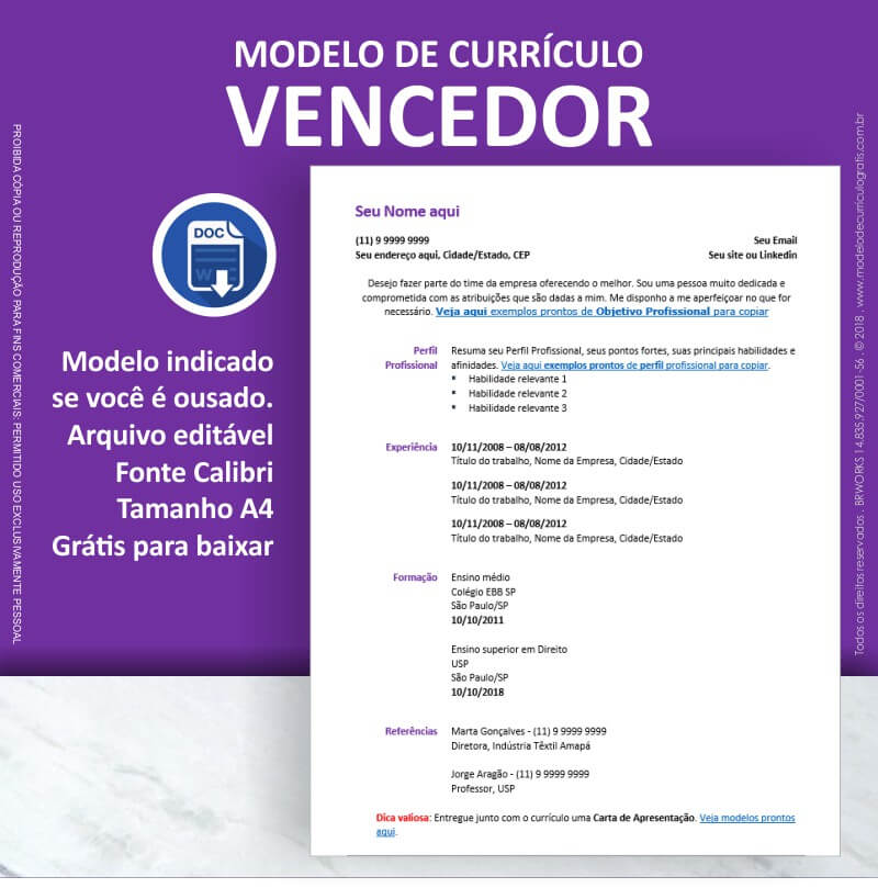 modelo de curriculo gratis pronto para baixar e preencher 03 vencedor